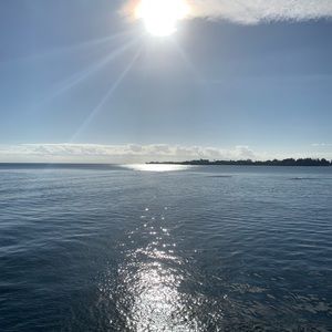 Meet your Posher, Lily